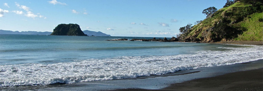 Beach and sea along the Coromandel peninsula