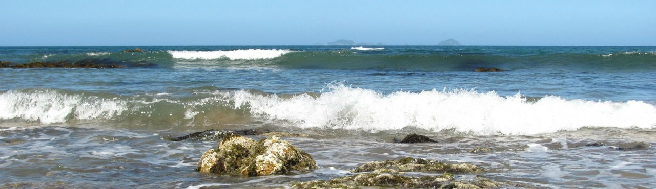 Waves on the rocky shore of the east Coromandel peninsula near Tairua