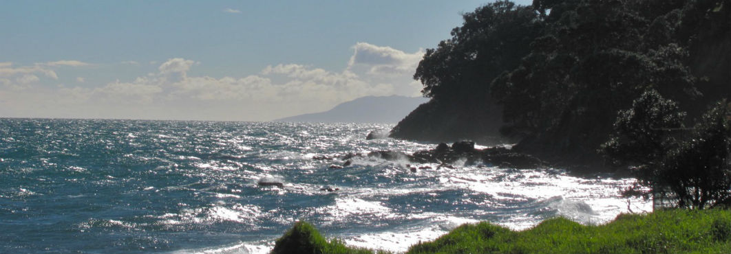 Waves and sea in the Coromandel, New Zealand