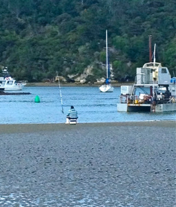 fishing_whitianga